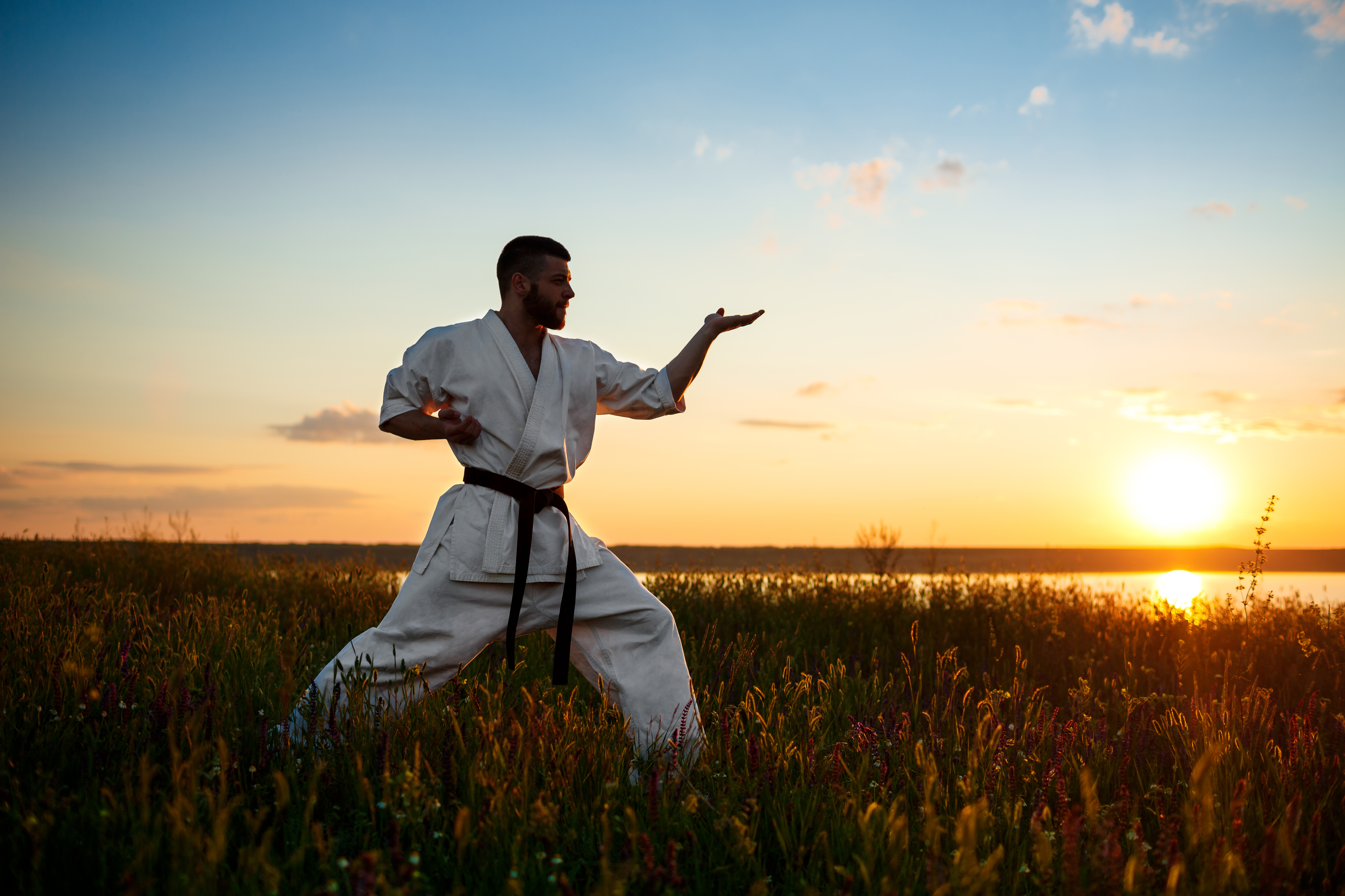 silhouette-sportive-man-training-karate-field-sunrise (1).jpg